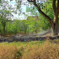 Einsatz_20250824_01.jpg