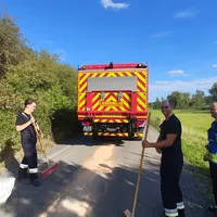 Einsatz_20260911_02.jpeg