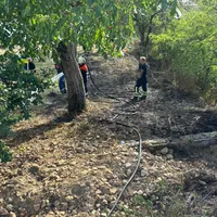 Einsatz_20250824_03.jpg